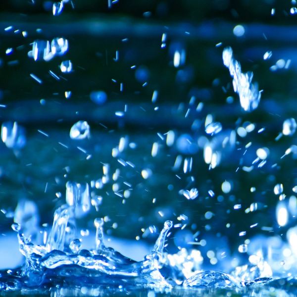 Rain
